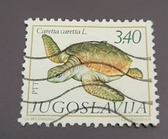 Jugoslawien 1980 Schildkröten