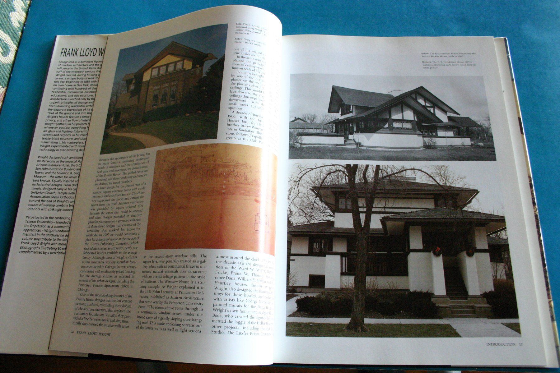 Libri: FRANK LLOYD WRIGHT ARCHITECT FOR THE TWENTIETH CENTURY – Usato da Winkel venduto da franzxaver60 2
