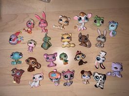 Littles Pet Shop