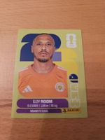 Panini WM 2026 CUW 2