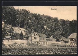 AK Rämismühle, Haus Suchot, 1912