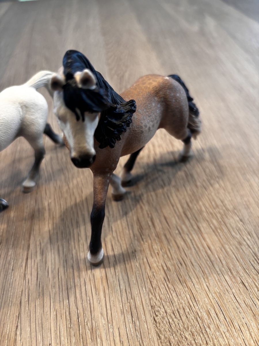 Schleich Giocattoli: Chevaux Schleich originaux  – Usato da Pully venduto da Fictikalli 2