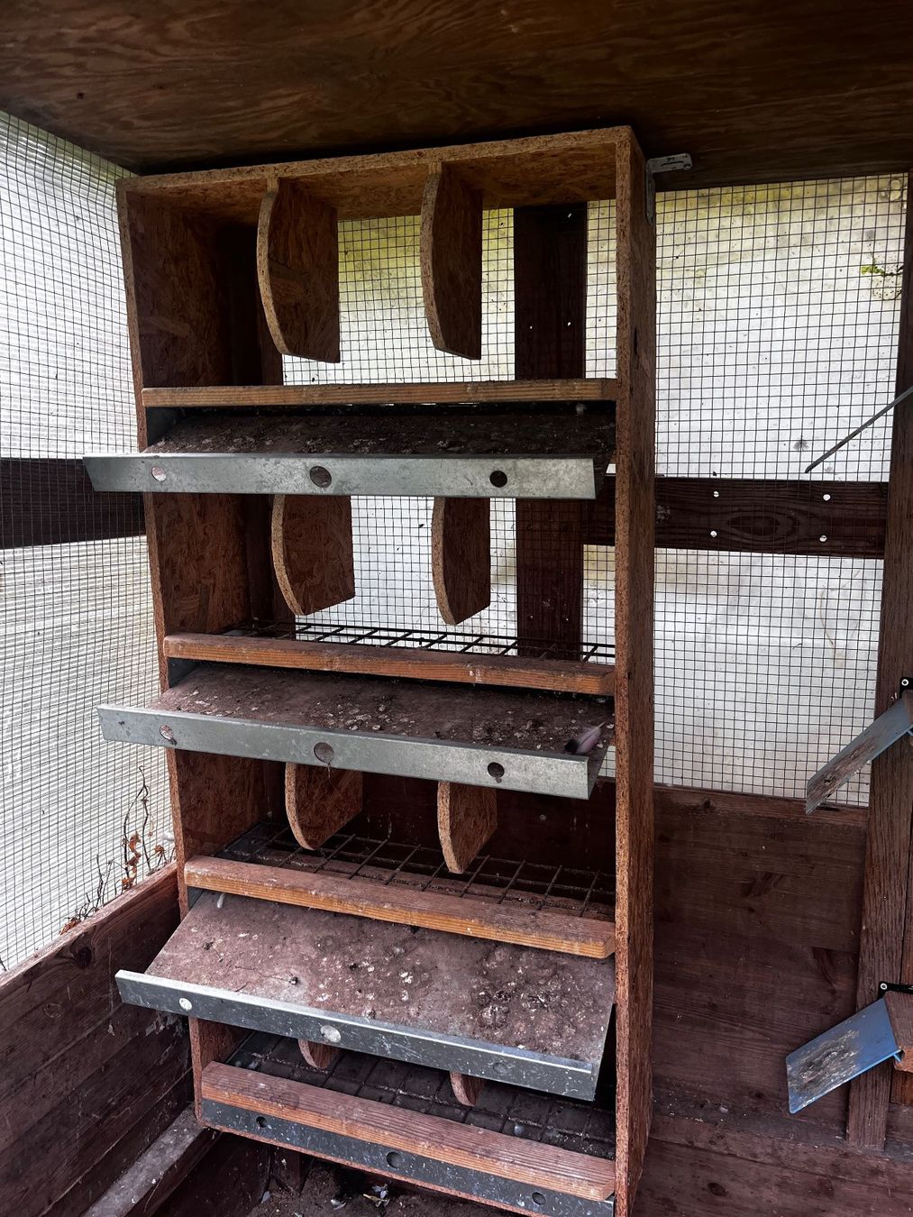 Regale: Gebrauchtes tauben sitzregal - Top Zustand! – Gebraucht aus Oberweningen von Achille.3 2
