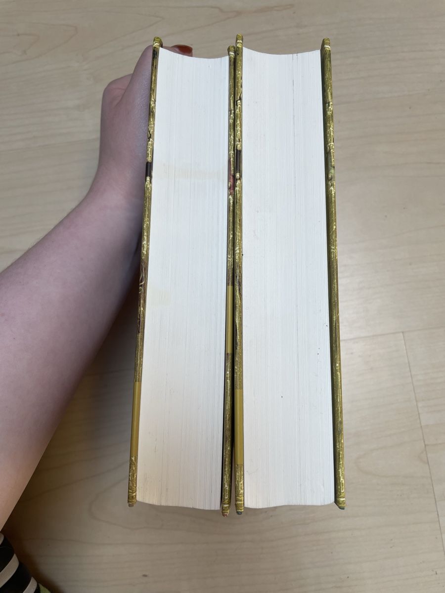 Libri: Göttlich Trilogie, Band 1&2, Jugendbuch – Usato da Schnottwil venduto da MysticWitch 2