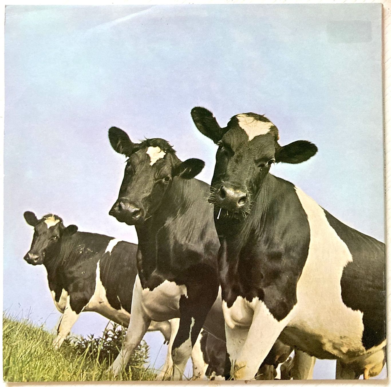 Dischi in vinile: PINK FLOYD - ATOM HEART MOTHER – Usato da Bottens venduto da hotter-than-hell 1