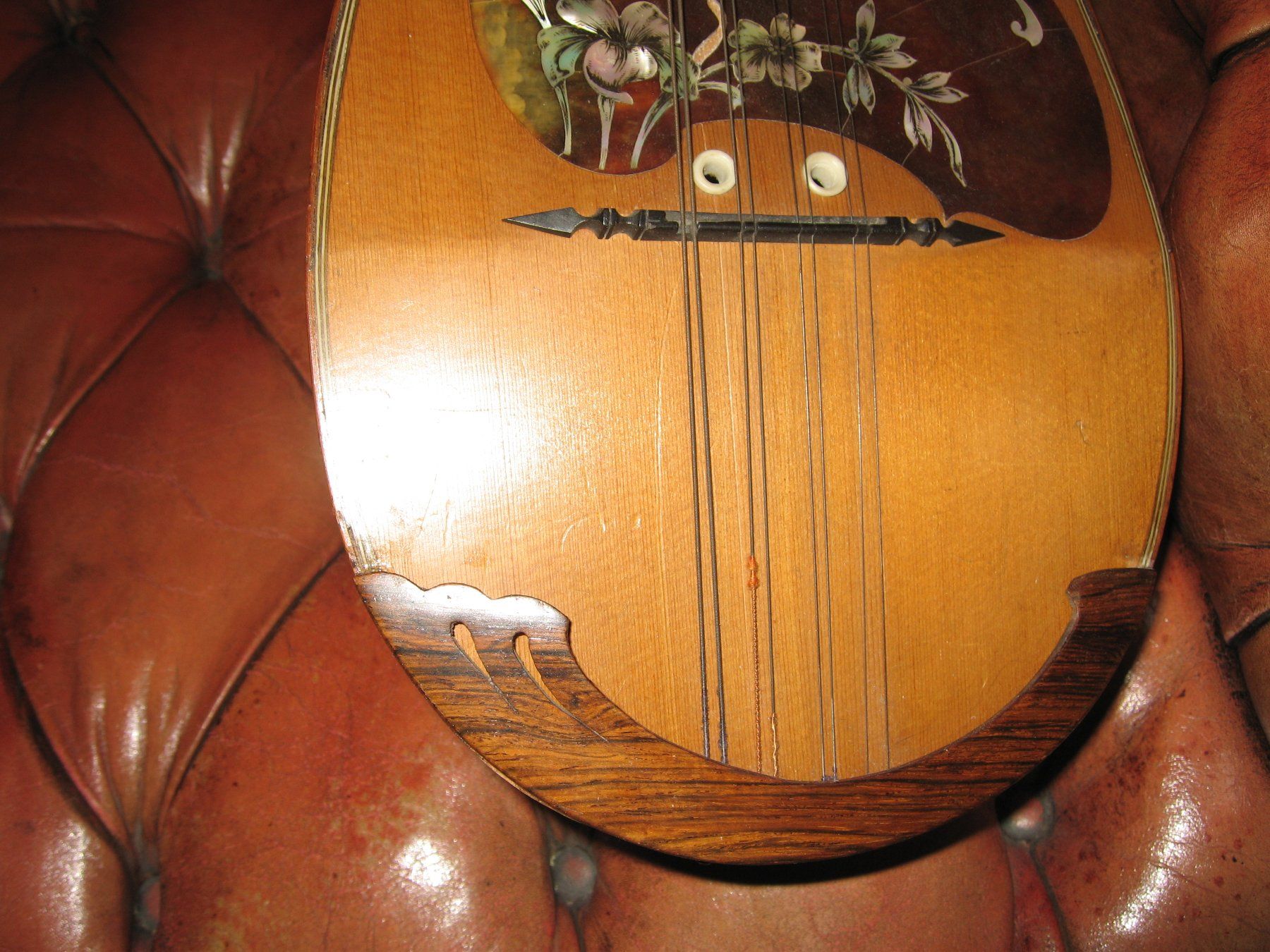 Musikinstrumente: MANDOLINE   ANTIK – Gebraucht aus Meilen von steffanini 5