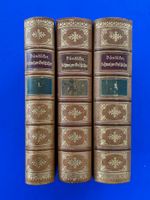 Dändliker - Geschichte der Schweiz. 3 Bände 1904. Halbleder