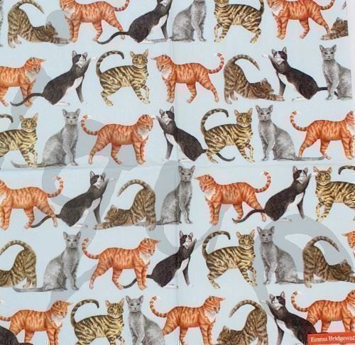 Bastelsets: Serviette cats light blue (1358) 3Stk. – Neu (gemäss Beschreibung) aus Schlatt TG von kreativ-atelier