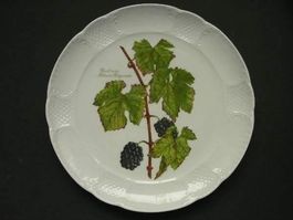 Wandteller Sujet Rebe PINOT NOIR - BLAUER BURGUNDER