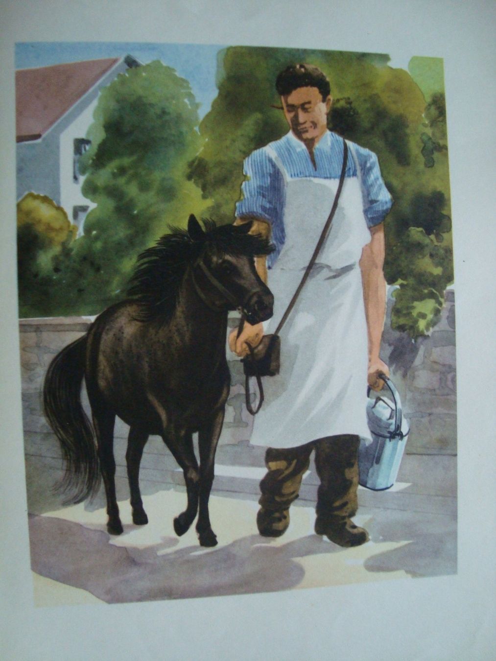 Bücher: L'histoire du petit poney Stop – Gebraucht aus Fribourg von ruswil007 3