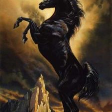 Profile image of Forca_SF