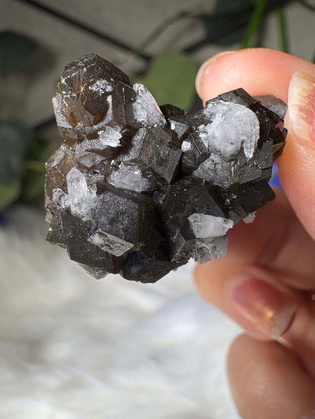 Minerali & Pietre curative: Grüner Granat mit Quarz – Nuovo (secondo la descrizione) da Neuheim venduto da m.hald 7