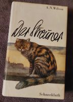 DER STREUNER, Roman von einem Kater, der überleben will