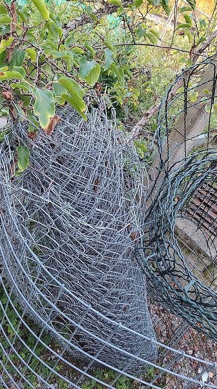 Clôtures: Maschendrahtzaun – D'occasion à Winterthur par NWidmer 1