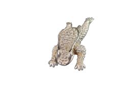 KIESELSTEIN-CORD Gürtelschnalle Froschmotiv Silber