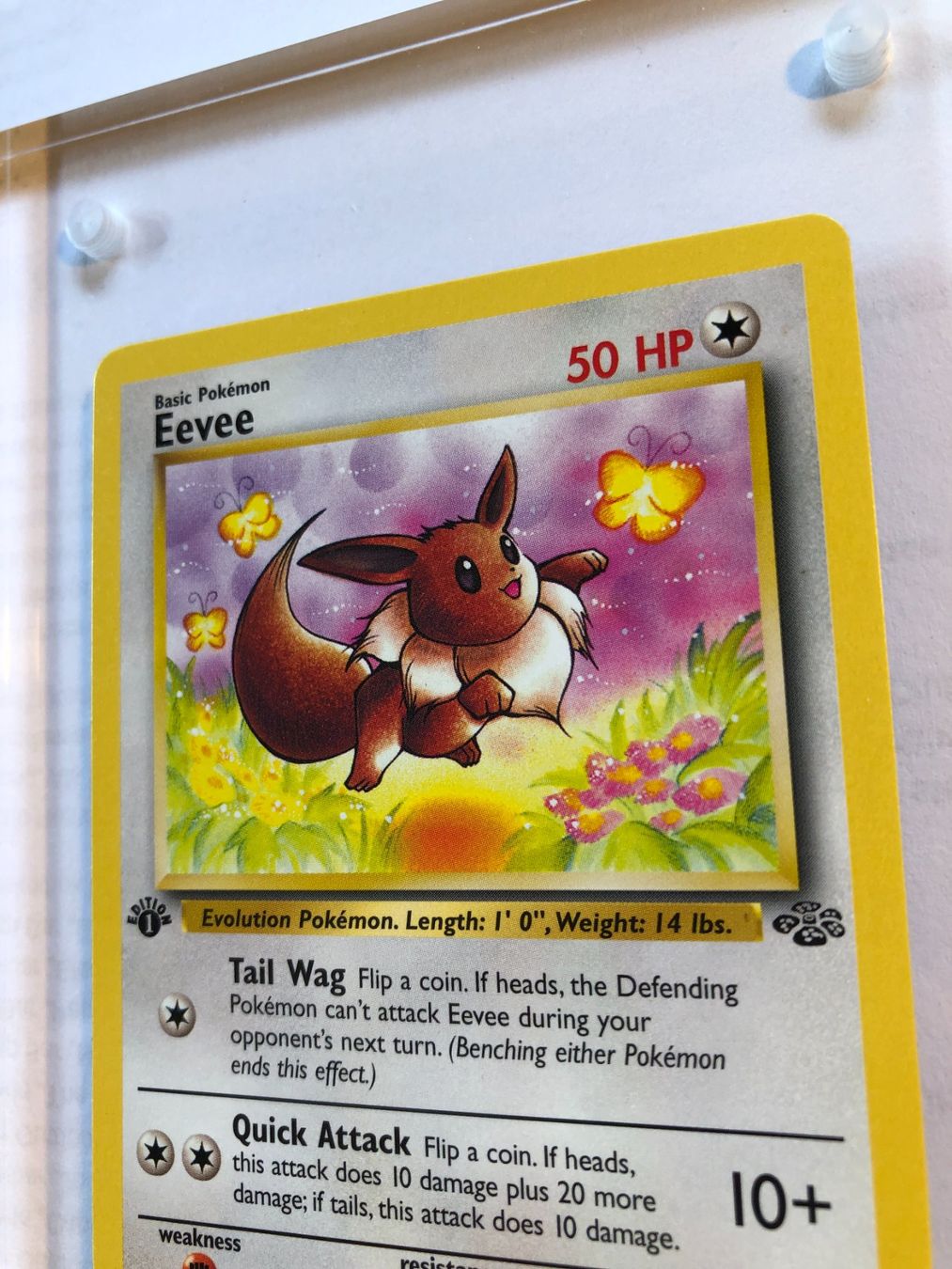 Sammelbilder & Trading cards: Eevee 1st Jungle - MINT - ab 1.- – Gebraucht aus Giubiasco von dan_pr8b 3