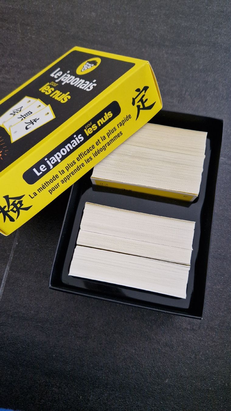 Libri: le japonais pour les nuls – Usato da altishofen venduto da Nippo 7