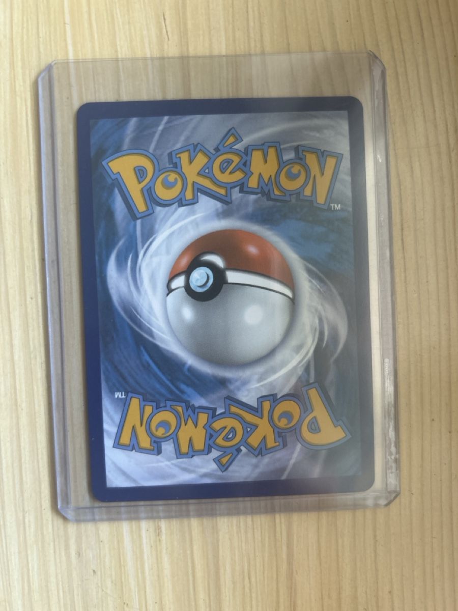 Pokémon Carte collezionabili: Pokémon Trainer Brawly – Nuovo (secondo la descrizione) da Wisen SO venduto da jan_rxr8 1