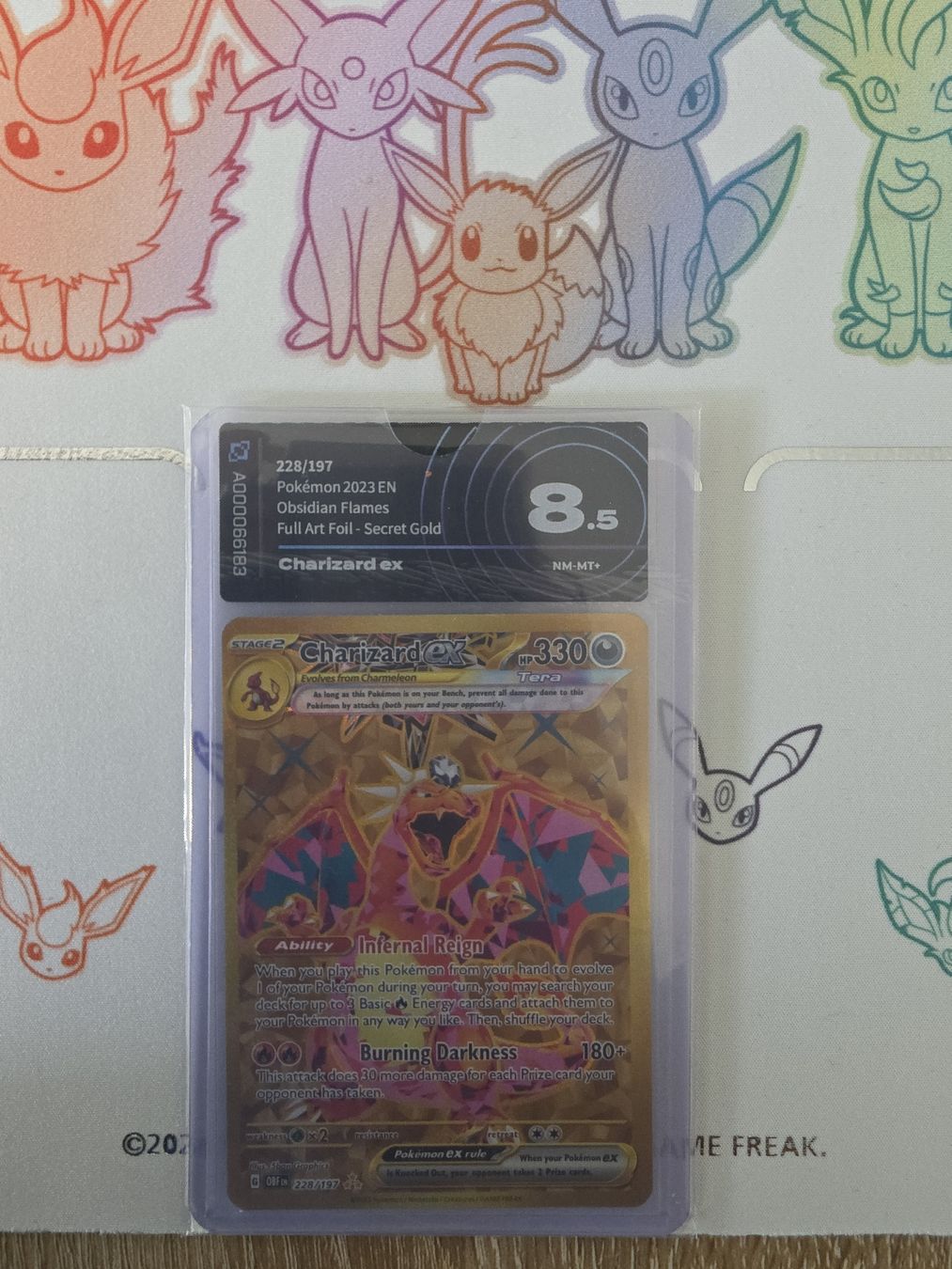 Pokémon Cartes à collectionner: Pokémon Charizard  – Neuf (Voir description) à Massagno par Arj87