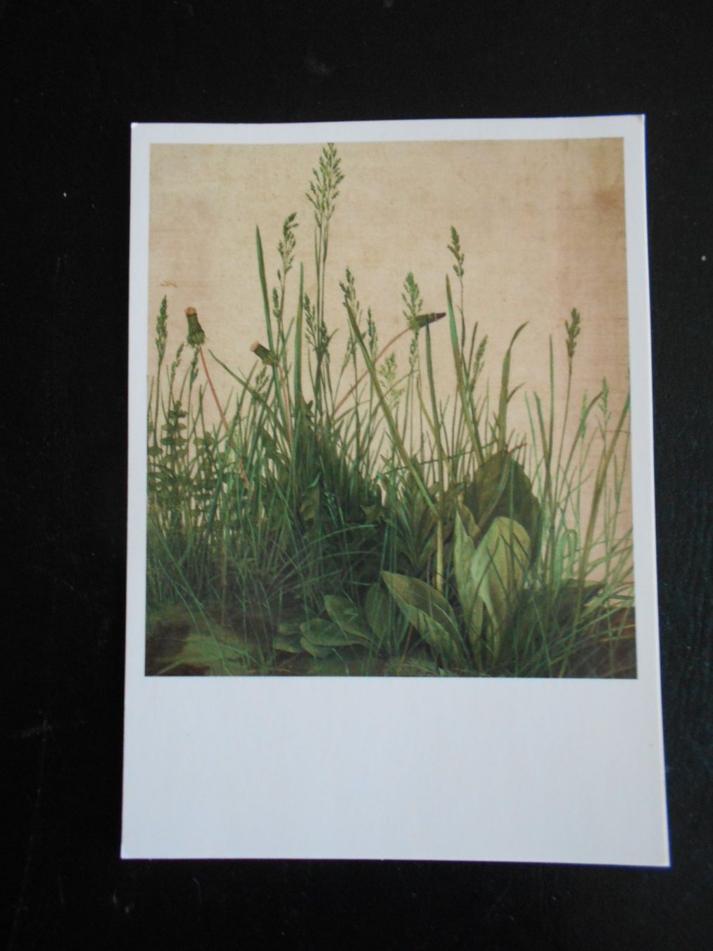 Cartoline postali: Albrecht Dürer 13 Kunstkarten 7 Motive – Nuovo (secondo la descrizione) da Hünibach venduto da vielesachen 4