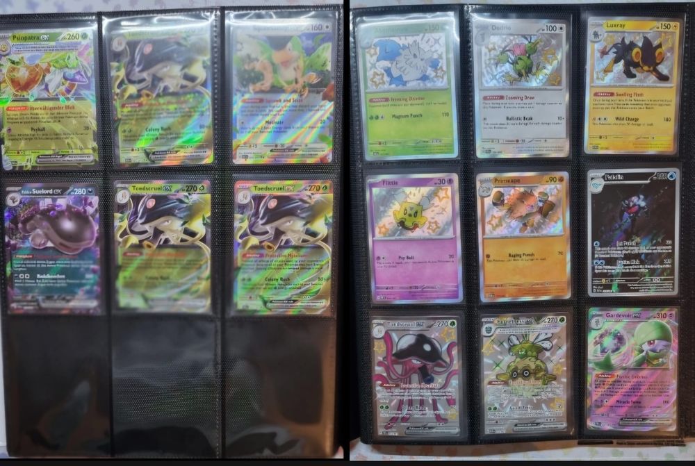 XXXL Special-Sets Pokemon Karten Sammlung ab 1.- 10
