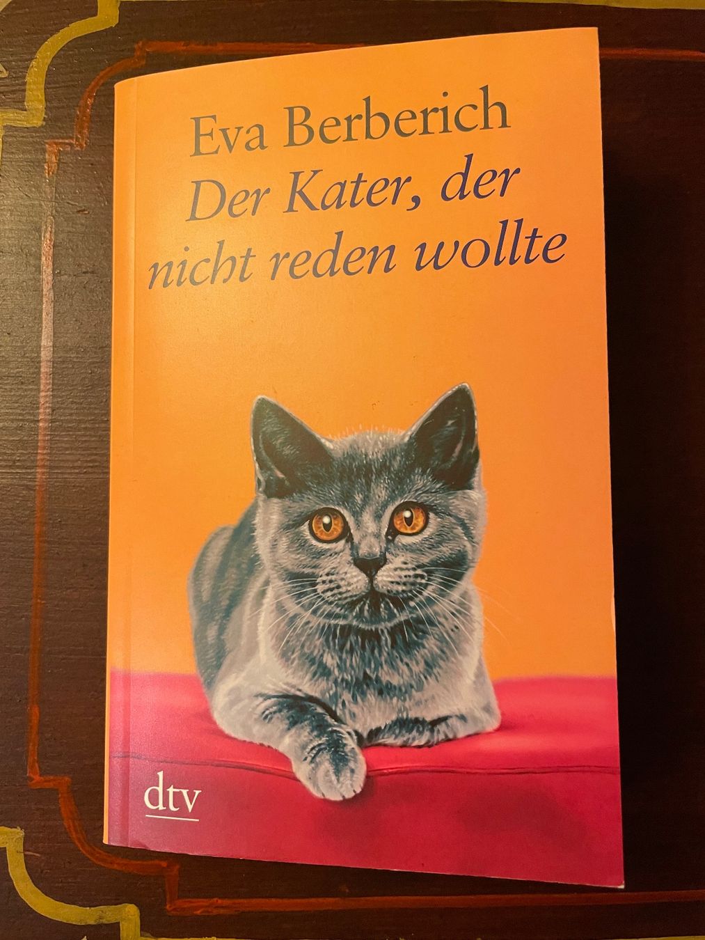 Libri: Katzen Roman von Eva Berberich – Nuovo (secondo la descrizione) da Emmenbrücke venduto da Ladyboutique 8
