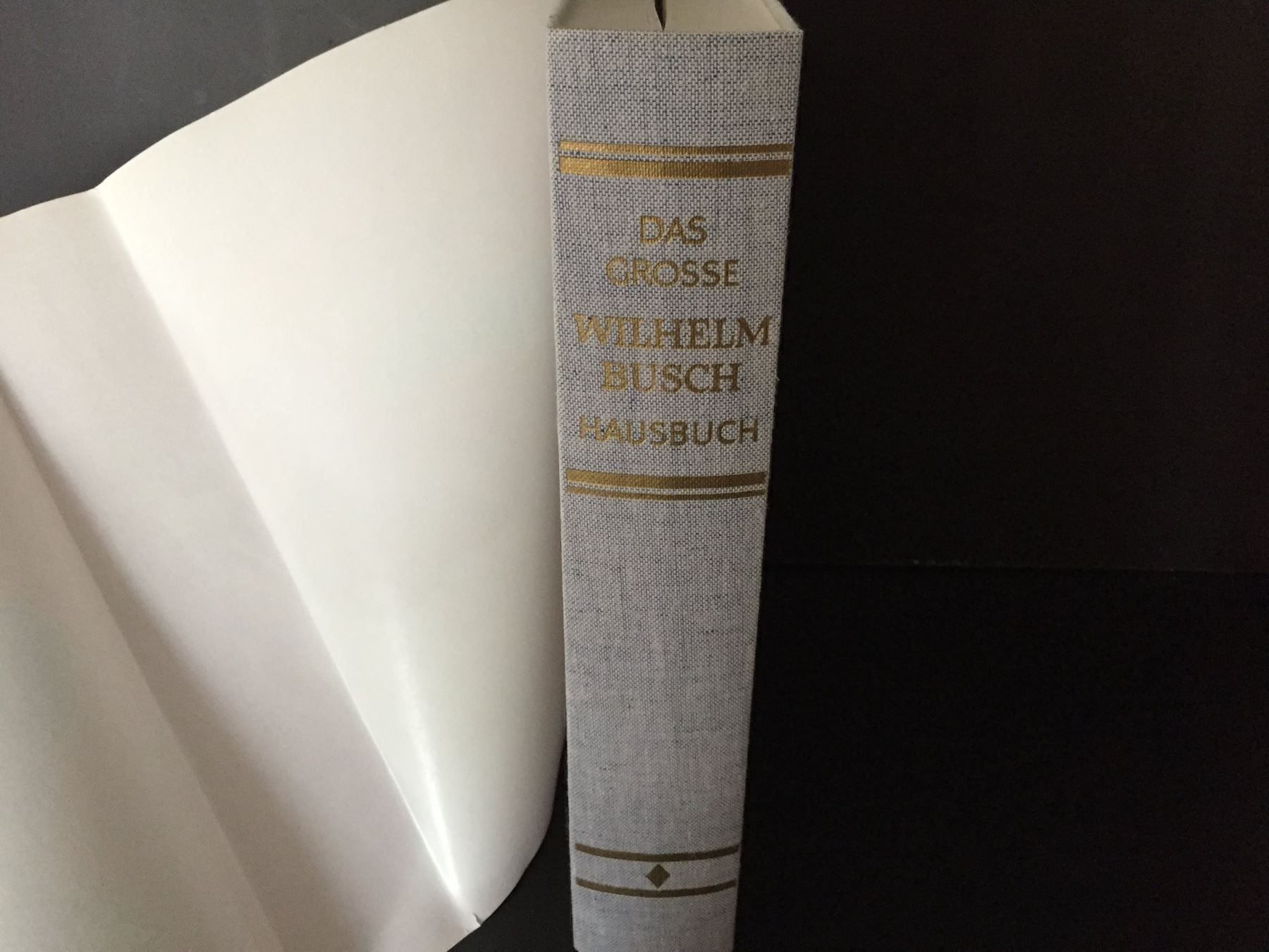 Libri: Wilhelm Busch Hausbuch – Usato da Einsiedeln venduto da Brocki59 5