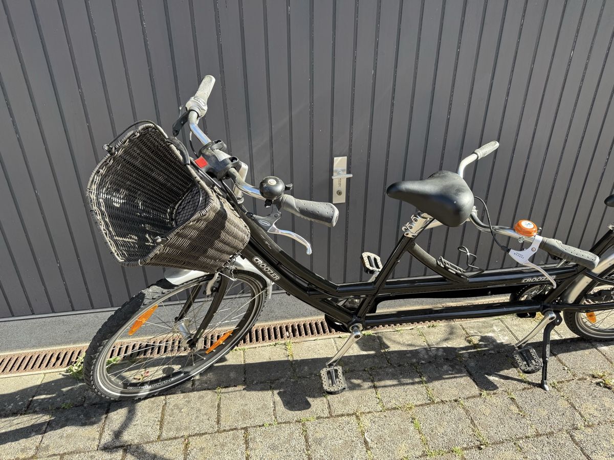Biciclette: Tandem Croozer – Usato da Winterthur venduto da tanscha 1