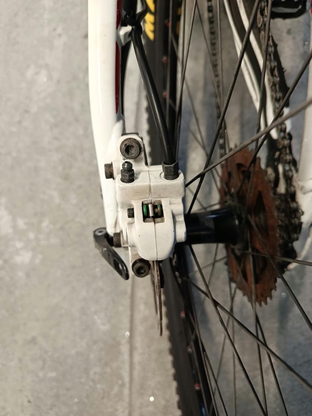 Specialized Biciclette: Specialized Velo – Usato da Hasliberg-Hohfluh venduto da Adbu13 3