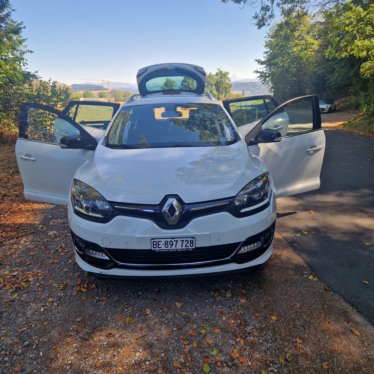 Renault Automobili: RENAULT Megane 1.5 – Usato da Zollikofen venduto da nha_825x 7