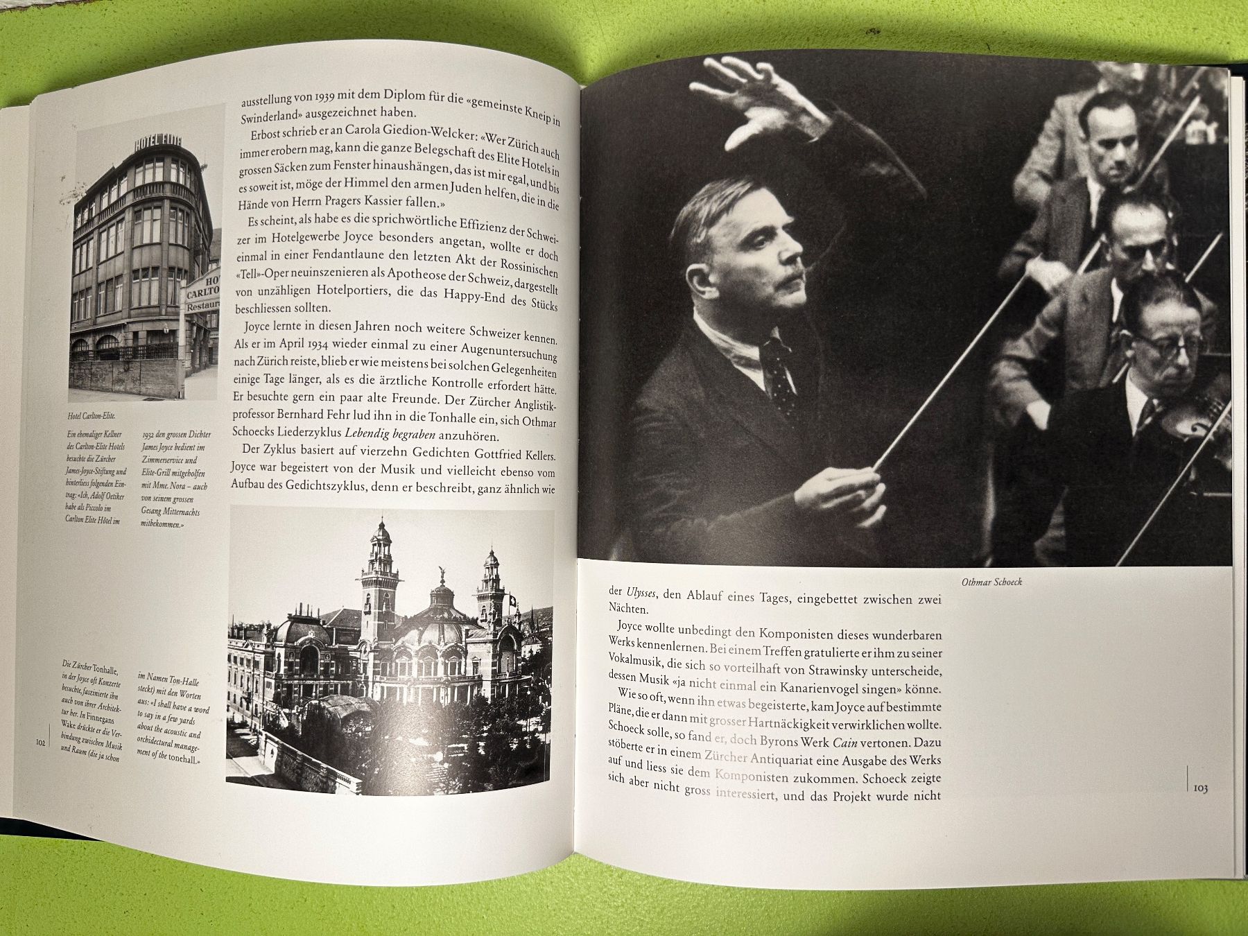 Libri: Thomas Faerber, Markus Luchsinger: Joyce in Zürich. – Usato da Zürich venduto da allp 7
