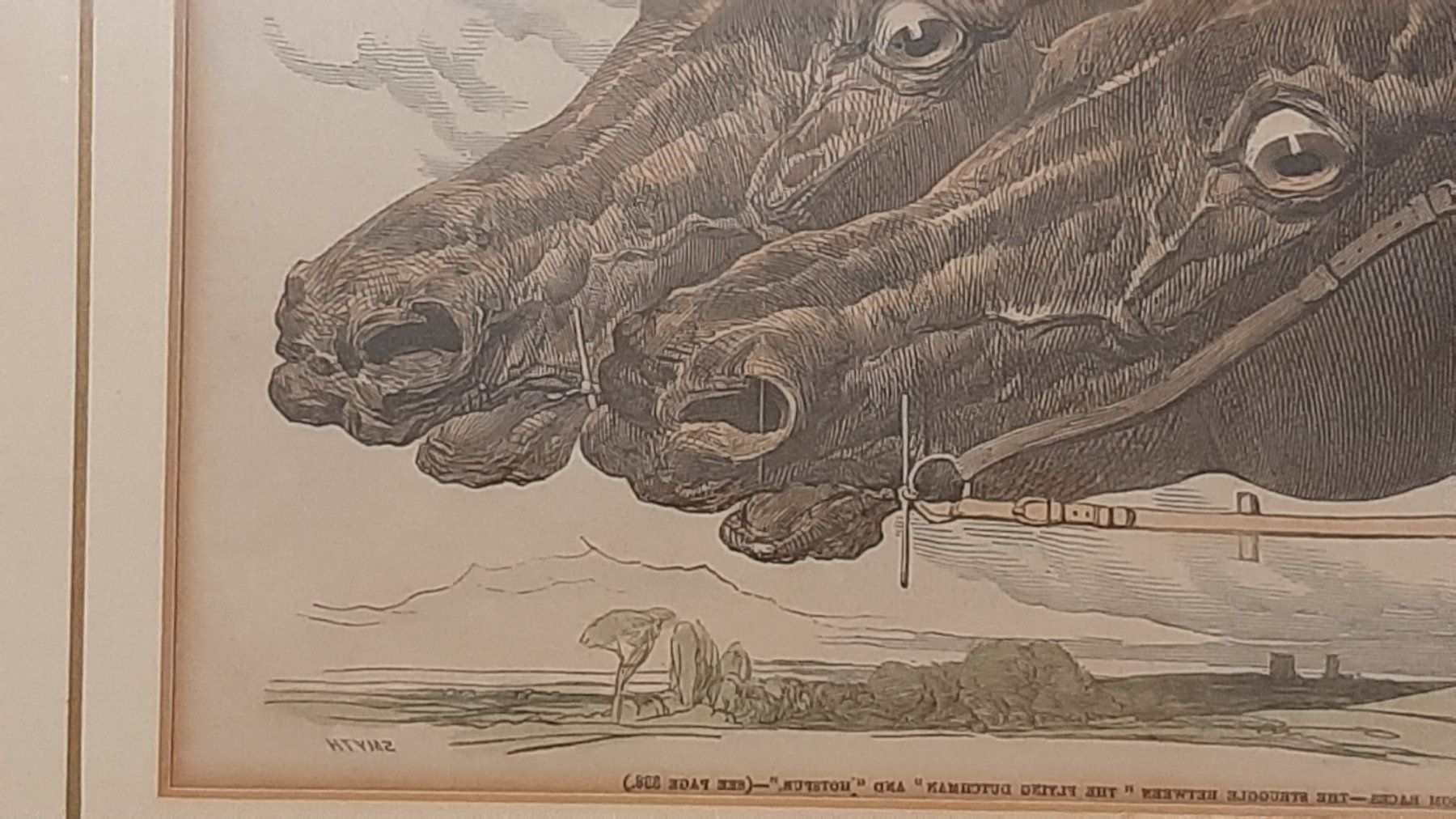 Grafica & Litografie: Litografia - Teste di cavallo – Nuovo (secondo la descrizione) da Porza venduto da ulletta1 1