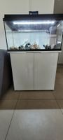 Aquarium Juwel Rio Primo 110 L mit Möbel + vieeel Zubehör!!!