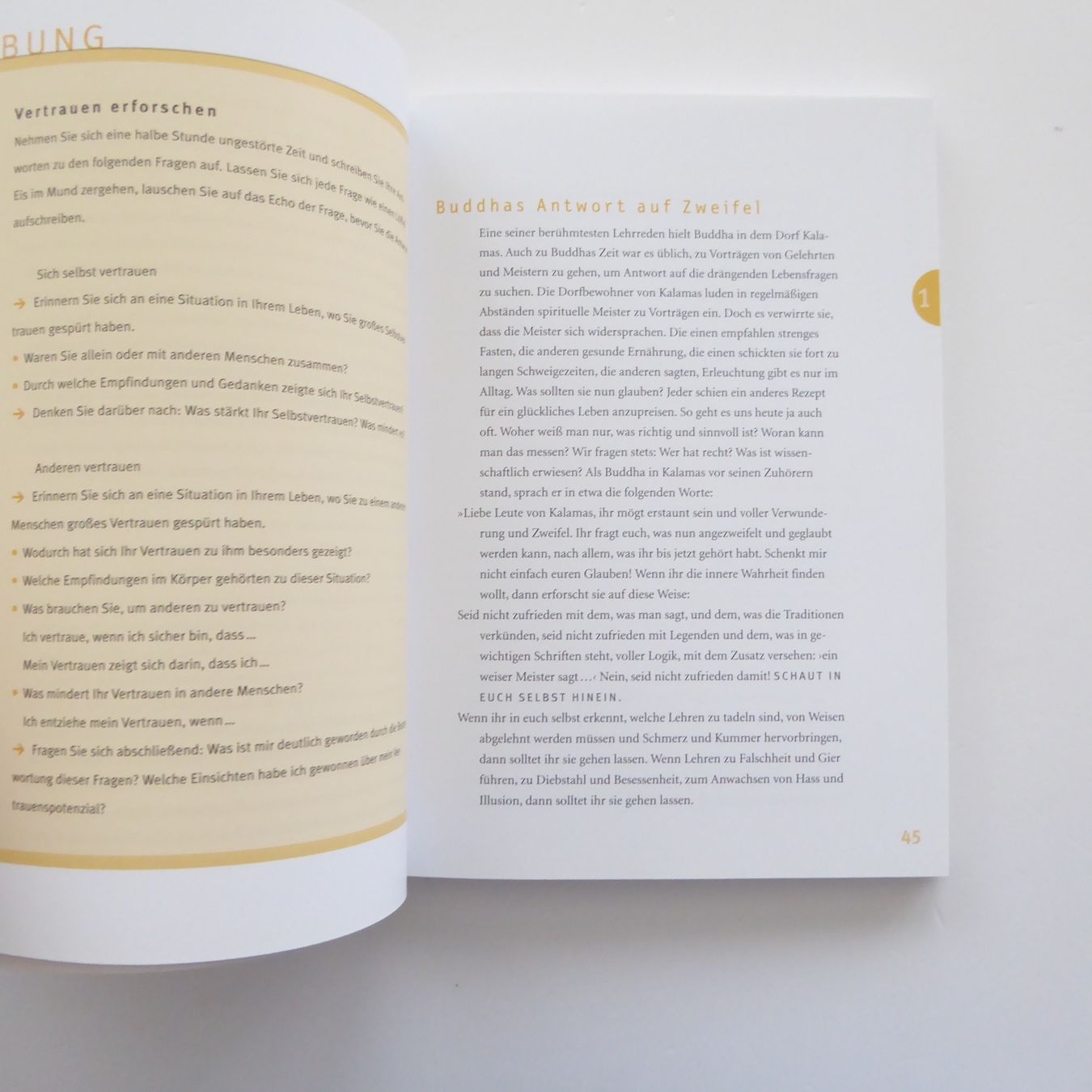 Libri: Buddhas Anleitung zum Glücklichsein – Usato da Basel venduto da kun_2hnm 6