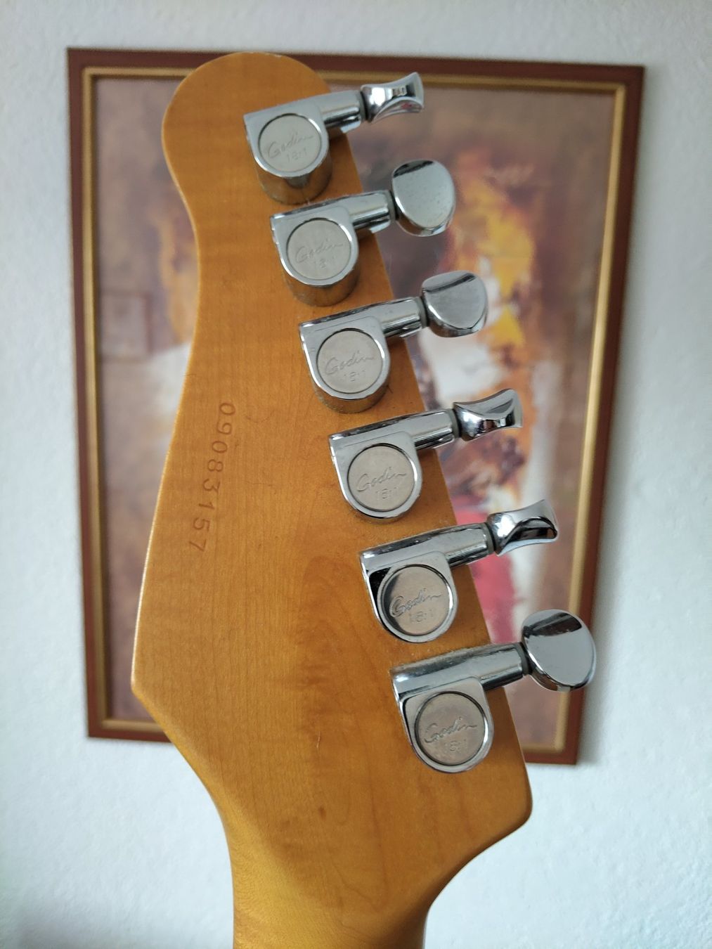 Godin Musikinstrumente: Godin Progression – Gebraucht aus Brügg BE von Rajka5 7