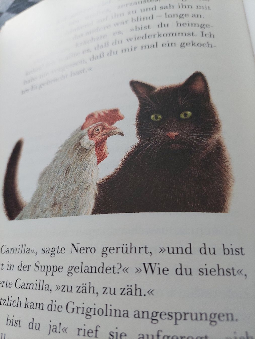 Bücher: 6 Kinderbücher  – Gebraucht aus Zetzwil von lanst08 8