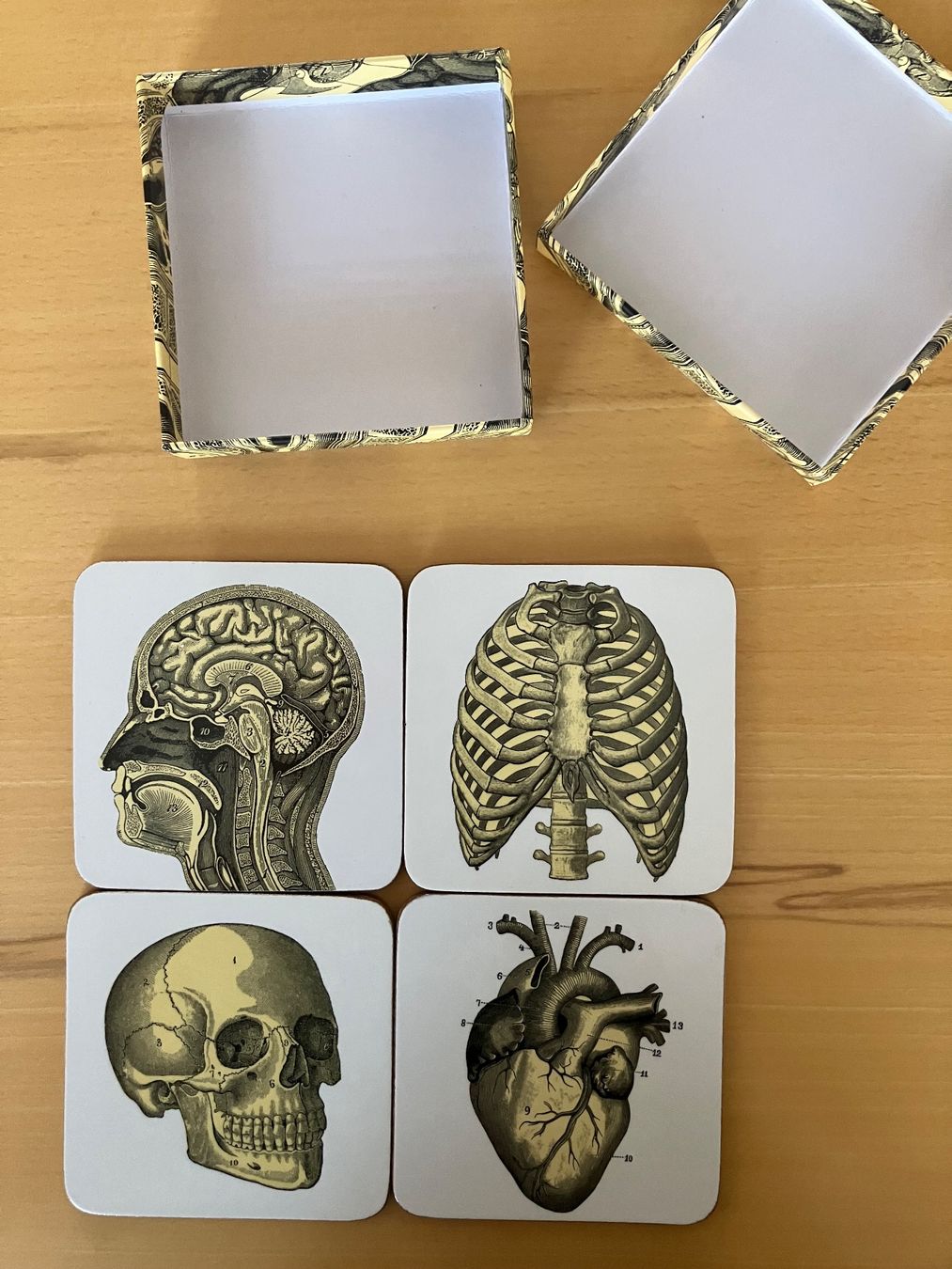 Sottobicchieri: Untersetzer 4er Set, Anatomie Motive – Usato da Winterthur venduto da Patipippilotta7 2
