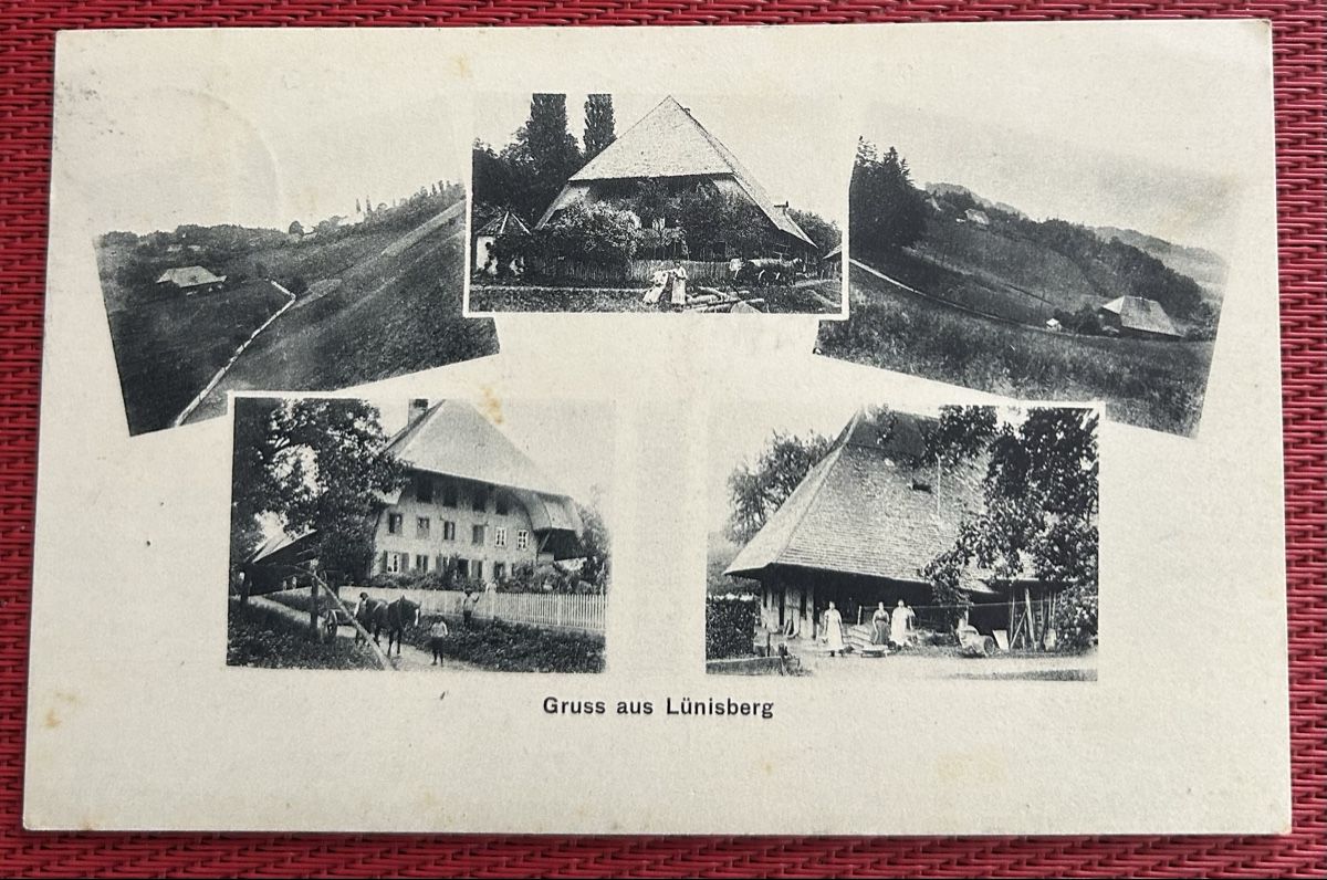 Cartes postales: Gruss aus Lünisberg 4-Bildrig  – D'occasion à Horw par Tellbub