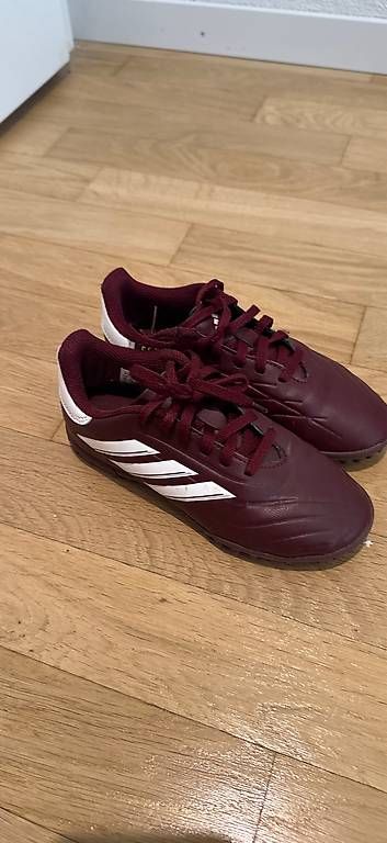 Scarpe per ragazzi: Hallenschuhe Kinder Adidas Gr. 33 – Usato da Strengelbach venduto da lul_tfr6