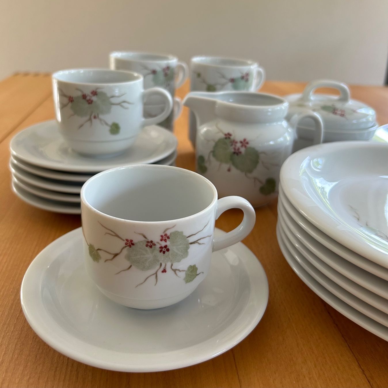 Winterling Set di piatti: Kaffeeservice 21teilig handbemalt – Usato da Wetzikon ZH venduto da Madi68