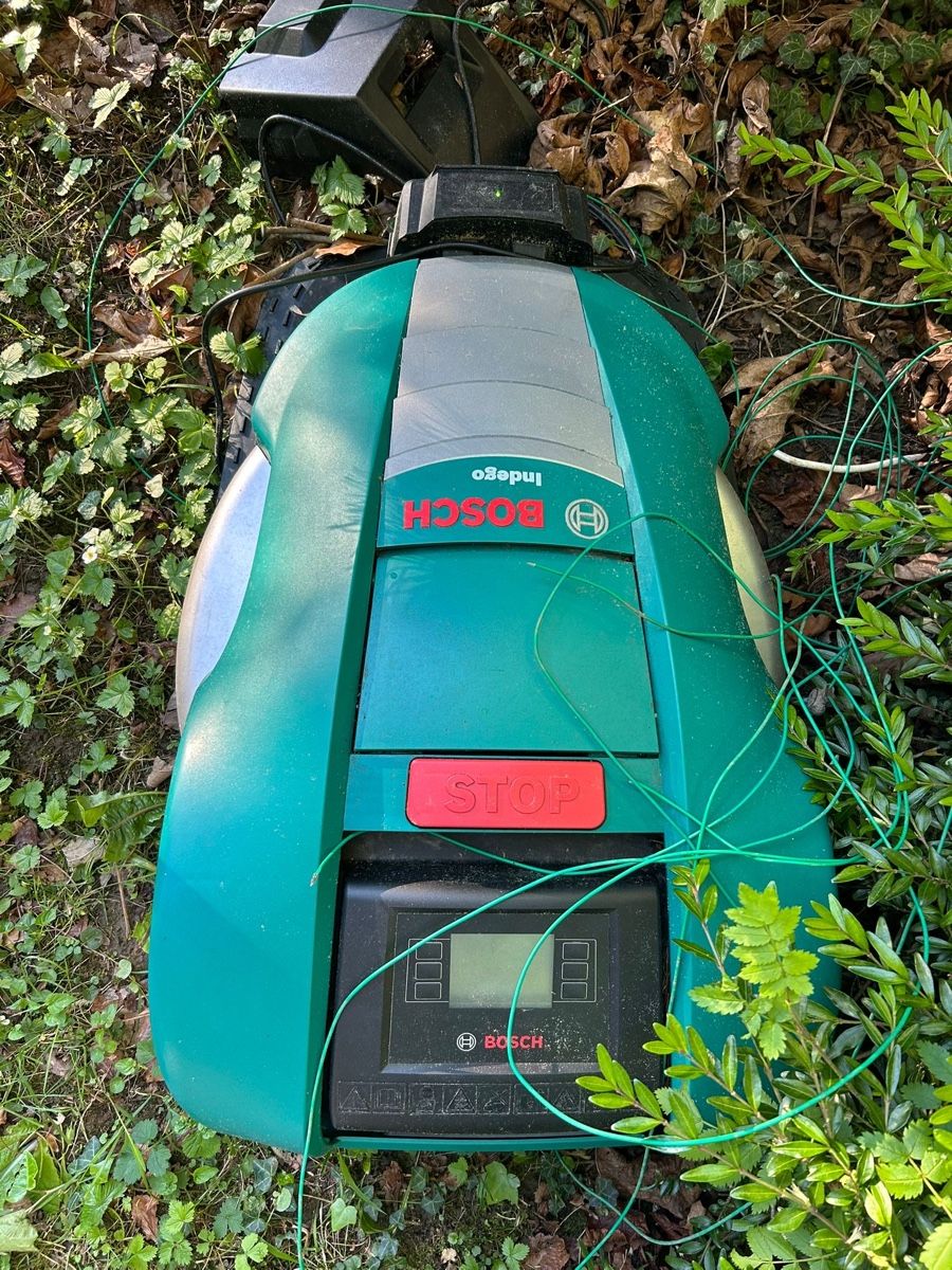 Bosch Tagliaerba: Tondeuse robot bosh – Usato da Trey venduto da dja_j9jn 1