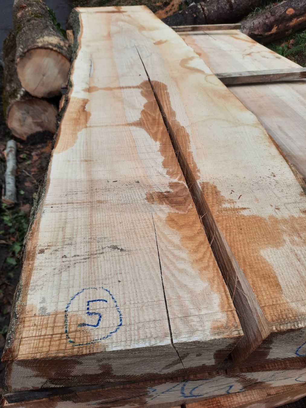 Articoli in legno: Klotzbrett Esche sehr dick – Nuovo (secondo la descrizione) da Heiligenschwendi venduto da kiplimo 1