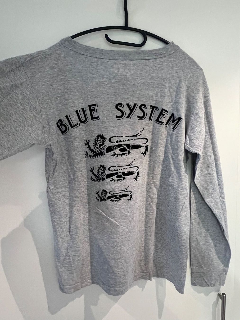 Maglioni & Felpe: Blue System Longsleeve – Usato da Dielsdorf venduto da Anthony111 1