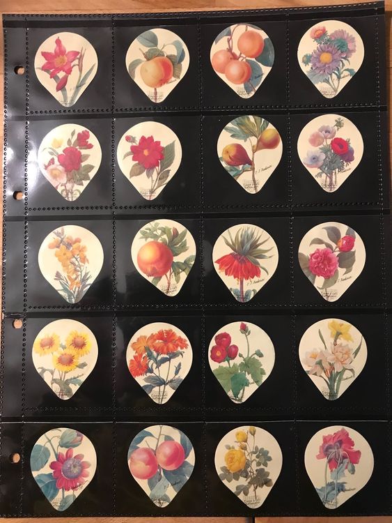 3dRose Grußkarten-Set 'Blumen Und Früchte' – 6 Stück, 15,2 X 15,2 Cm, Blanko Innen