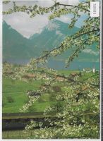 SBB-CFF - Spiez et lac de Thoune