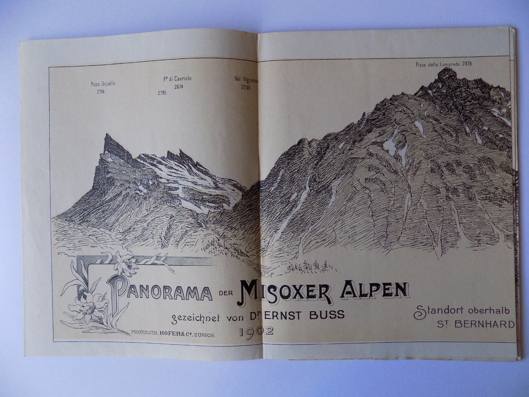 Incisioni: Panorama der Misoxer Alpen 1904 – Usato da Risch venduto da Antikfee