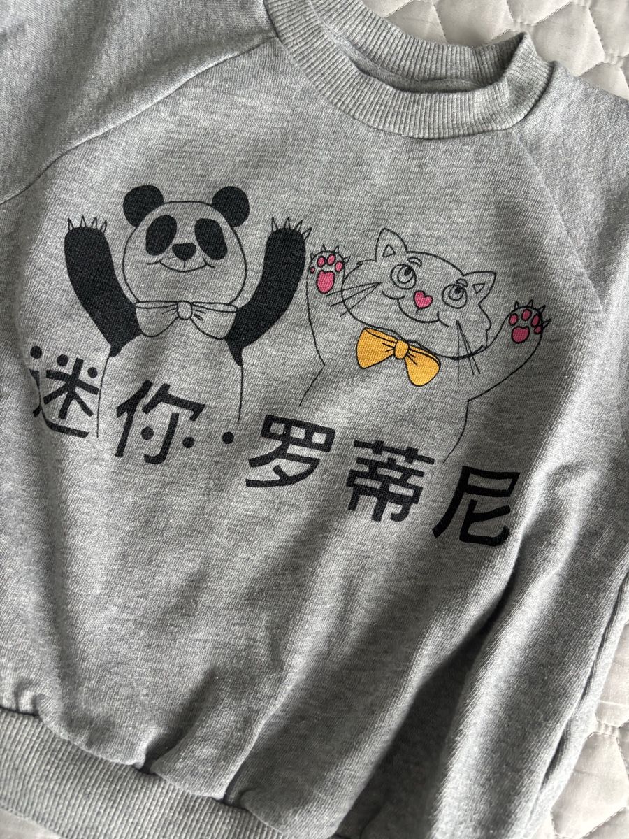 Mini Rodini Pullover & Sweatshirts: Mini Rodini Pullover Gr. 104/110 – Gebraucht aus Augst BL von fine-art 1