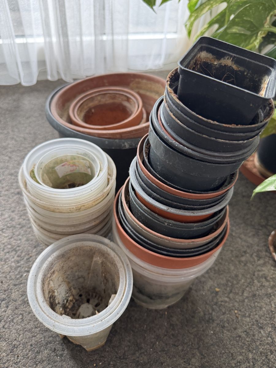 Blumentöpfe: Flower Pots – Gebraucht aus Bern von Lucas_Ma 1