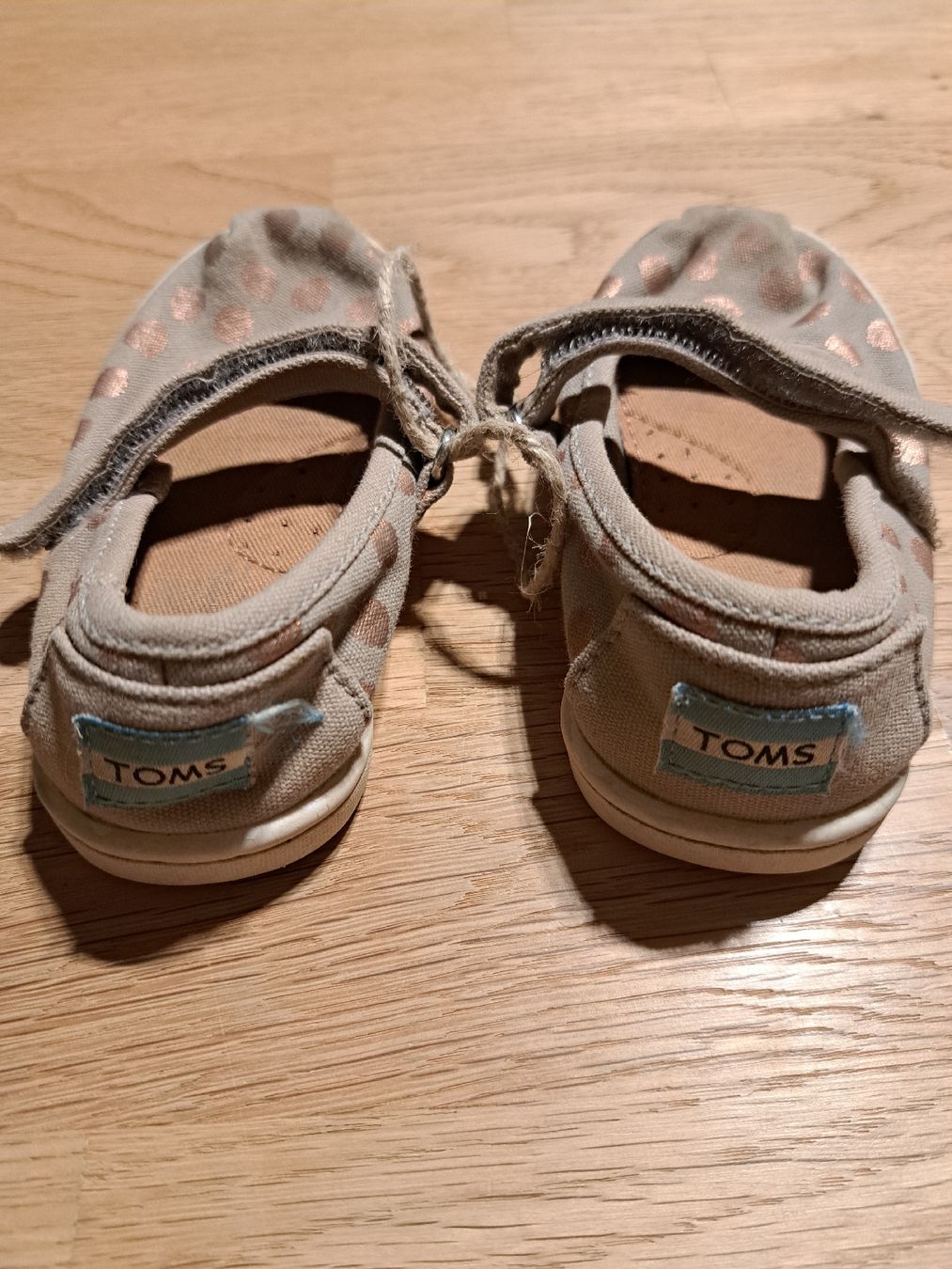 Toms Scarpe per ragazze: Toms Ballerinas Gr. 21 – Usato da Bergdietikon venduto da Staphylococcus 1