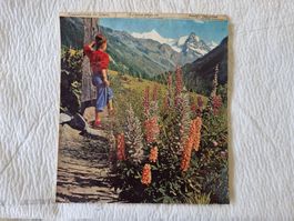 Kalender 1959 Schweiz Vintage Rarität  27 X 30cm  Jan - Dez